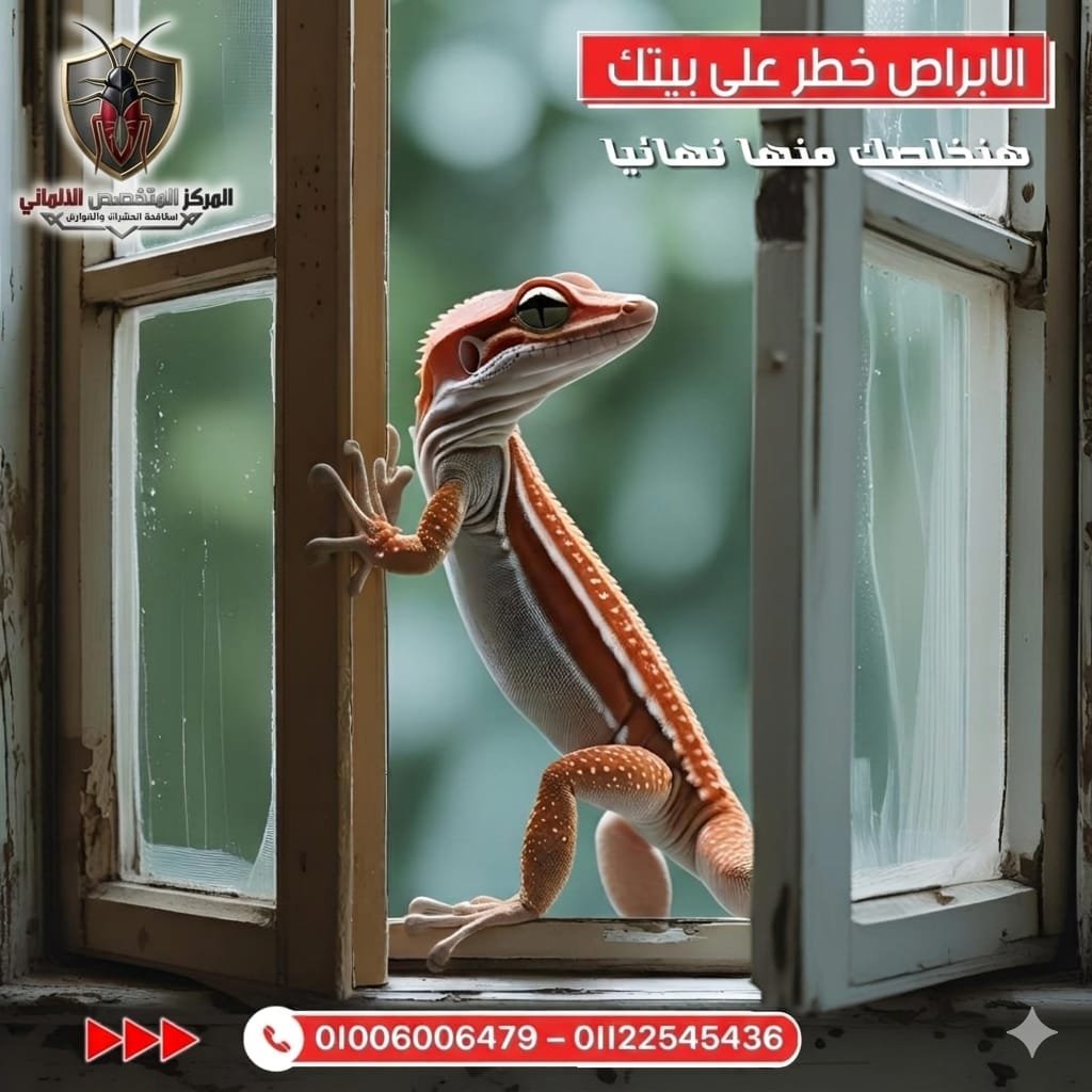 مكافحة وطرد الأبراص والسحالي