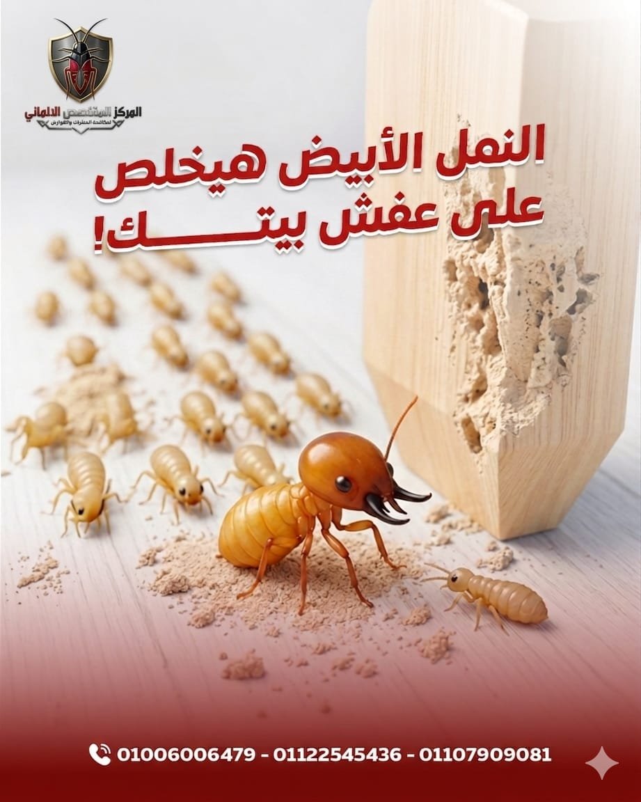 افضل شركة مكافحة في القاهرة صورة 2