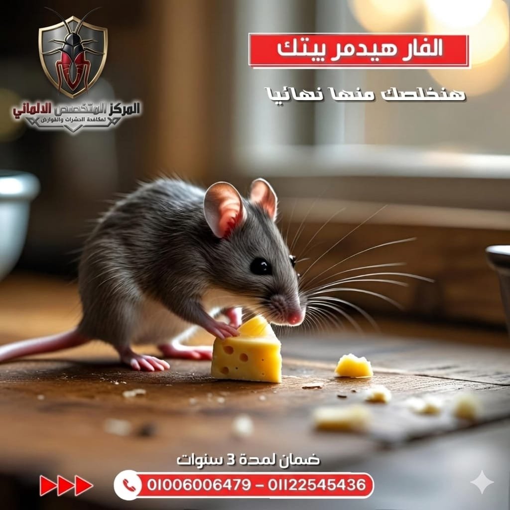 أحدث التقنيات الألمانية لضمان بيئة صحية وآمنة من الفئران