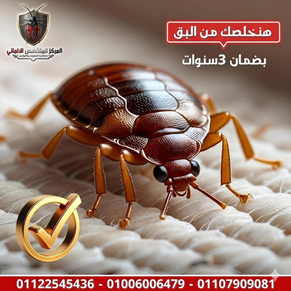 تأثير الحقن الألماني في القضاء على الصراصير