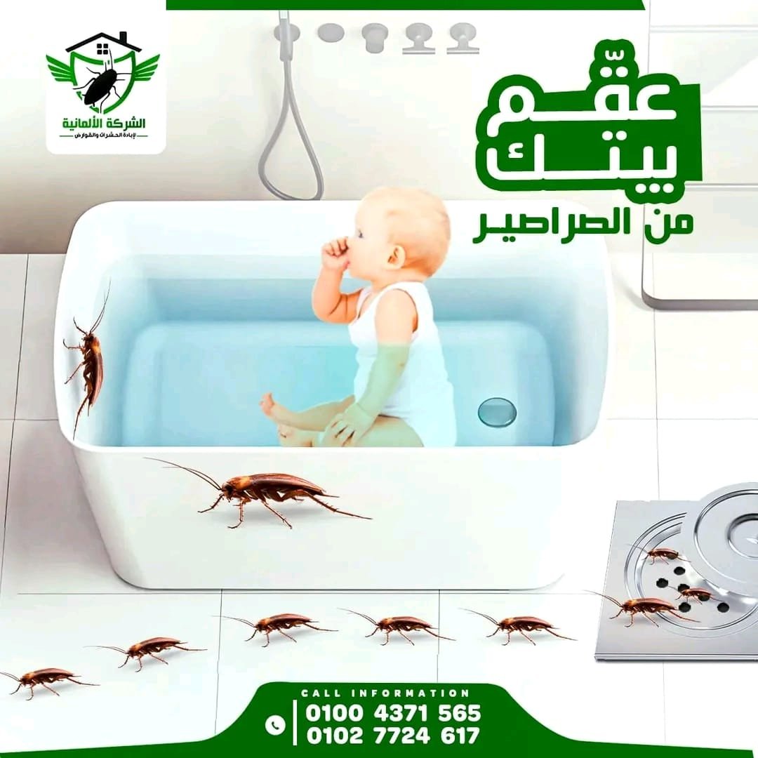 فريق الشركة الألمانية أثناء القضاء على الصراصير بالجل